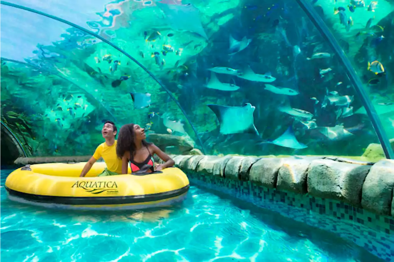 SeaWorld San Antonio and Aquatica to open for Spring Break season