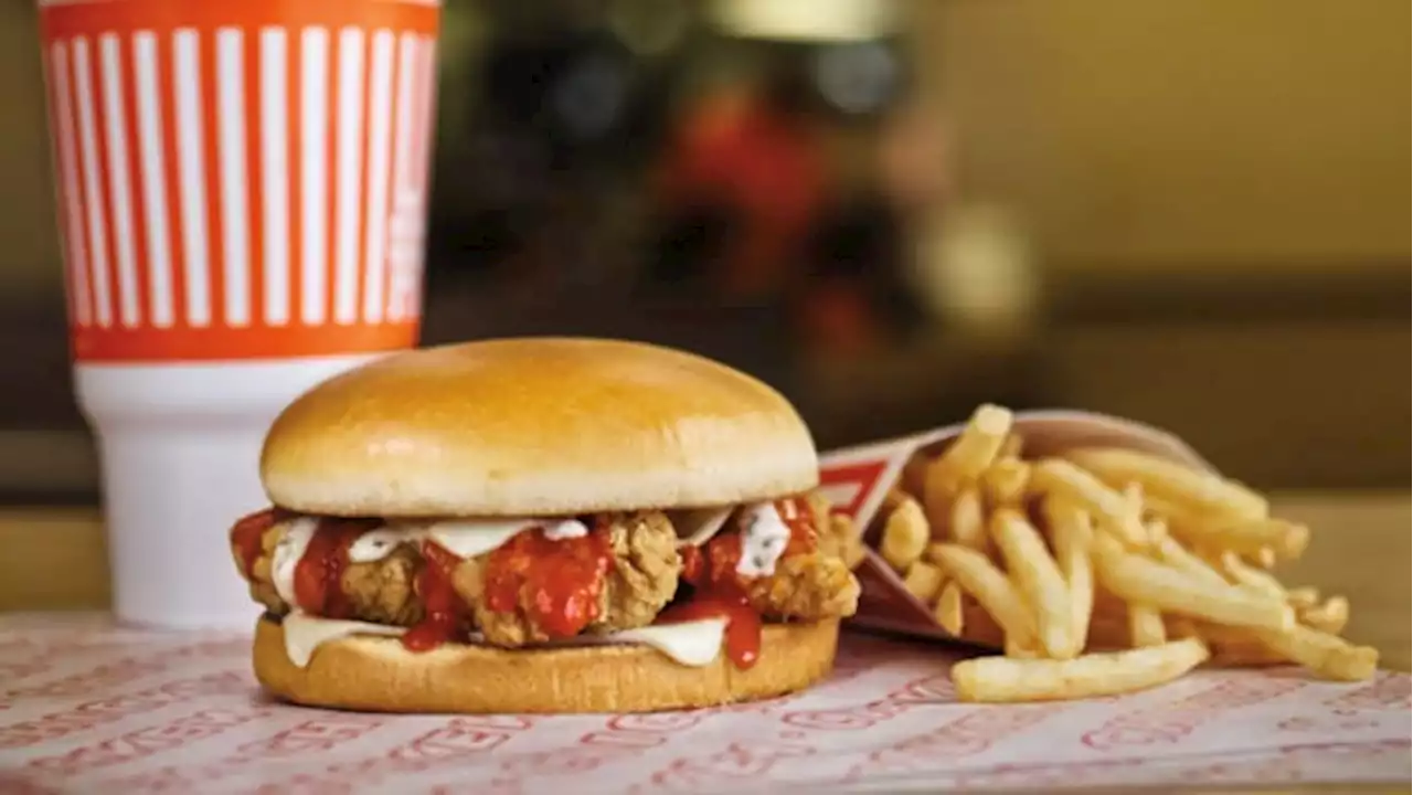 Whataburger fan favorite Buffalo ranch chicken sandwich, salad back on menu for limited time