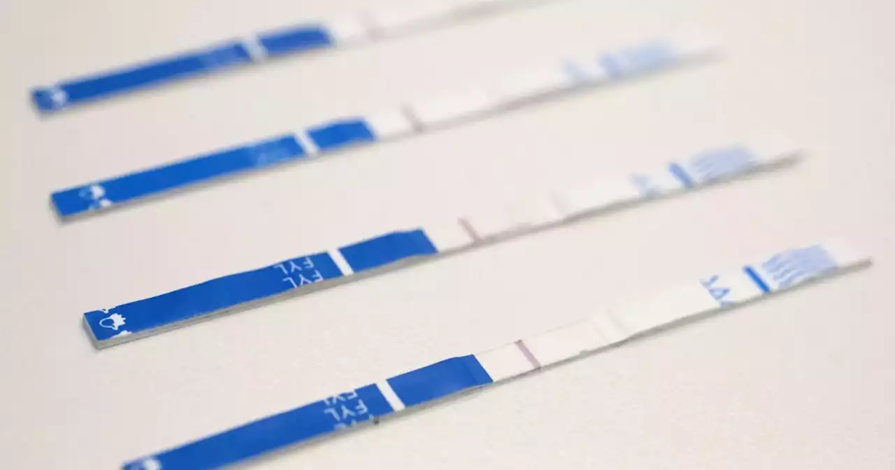 Bills legalizing fentanyl test strips flood the Texas Legislature