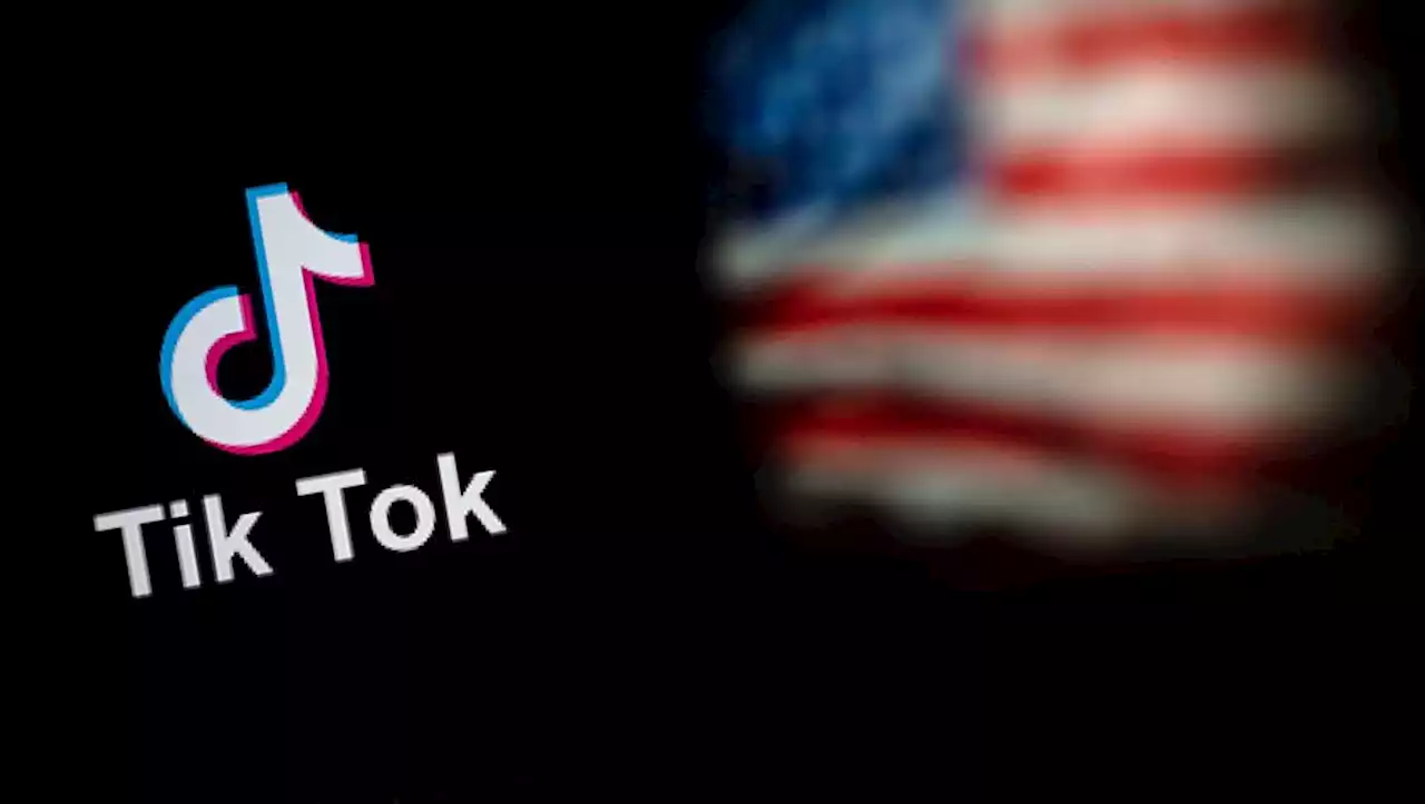 TikTok : 'aspirateur de données', risques d'espionnage… Pourquoi l'application inquiète les administrations dans le monde