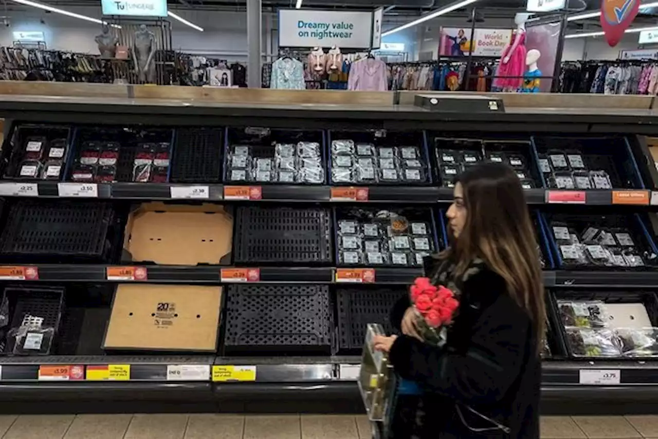 Sigue desabasto de frutas y verduras en supermercados de Reino Unido