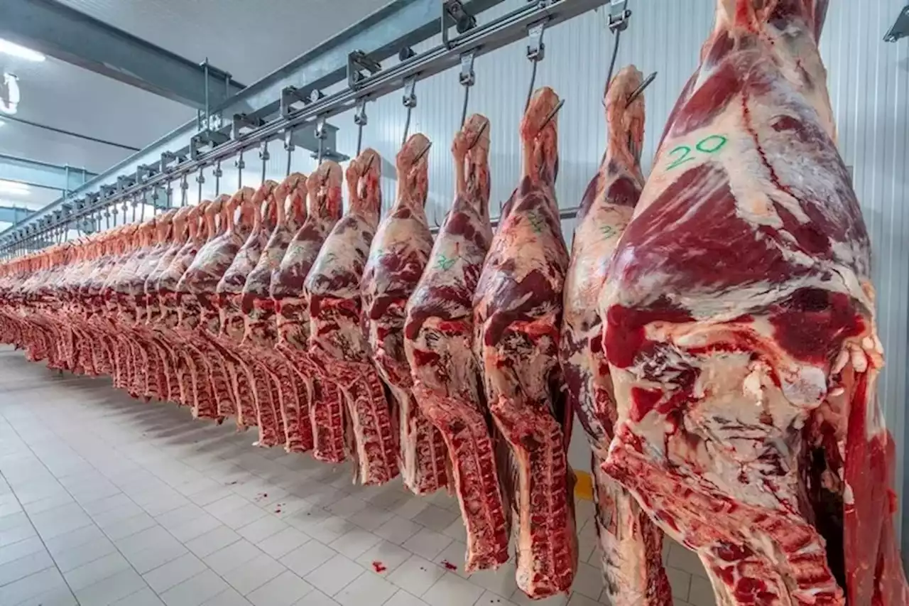 La AFIP informó que desbarató una millonaria evasión en la exportación de carne vacuna