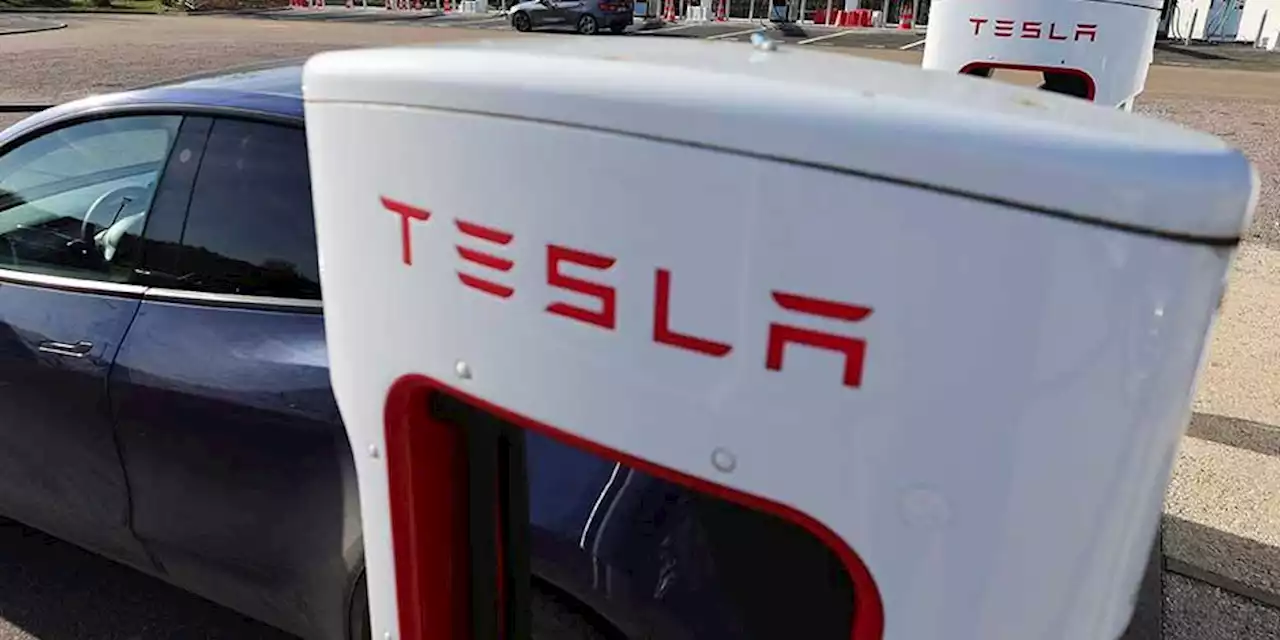 Tesla se queda en México; hoy dicen dónde