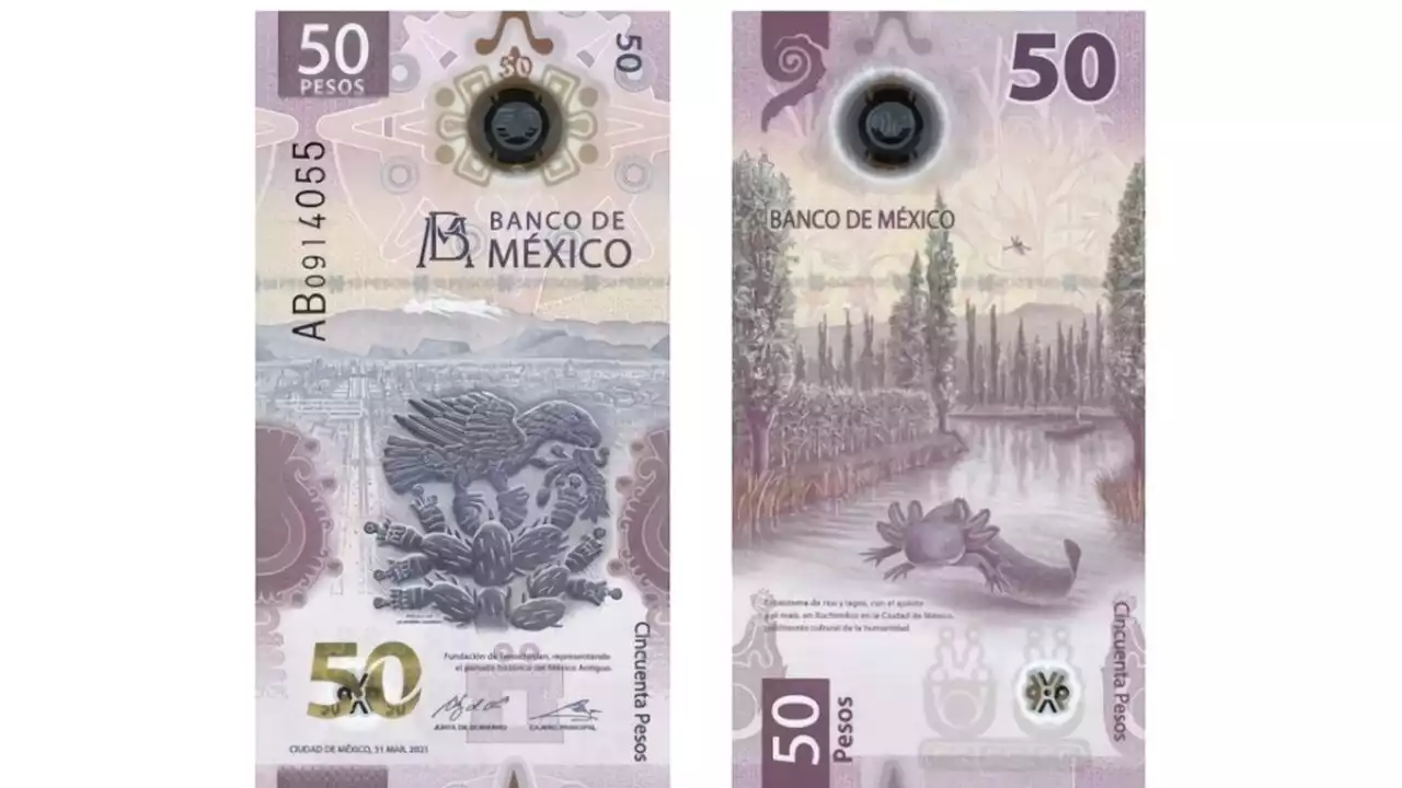 Por este error, el billete del 'ajolotito' se vende hasta en 650 mil