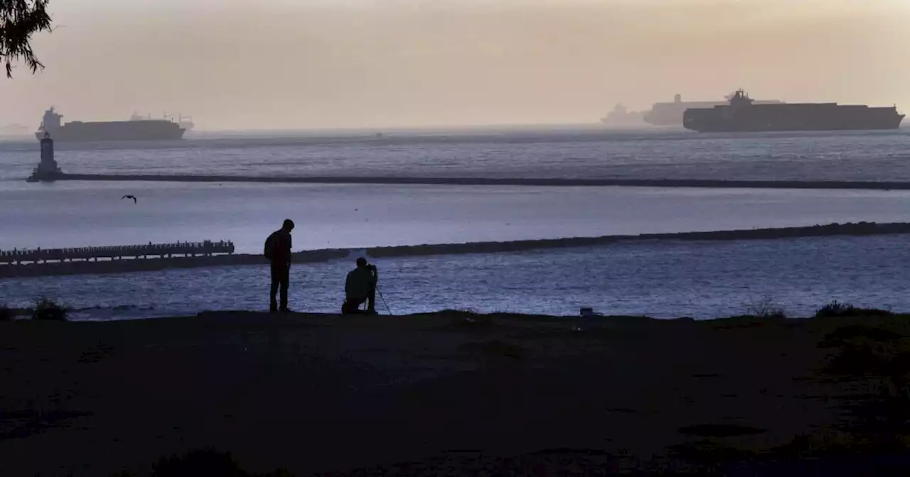 Body found floating at the Port of Los Angeles