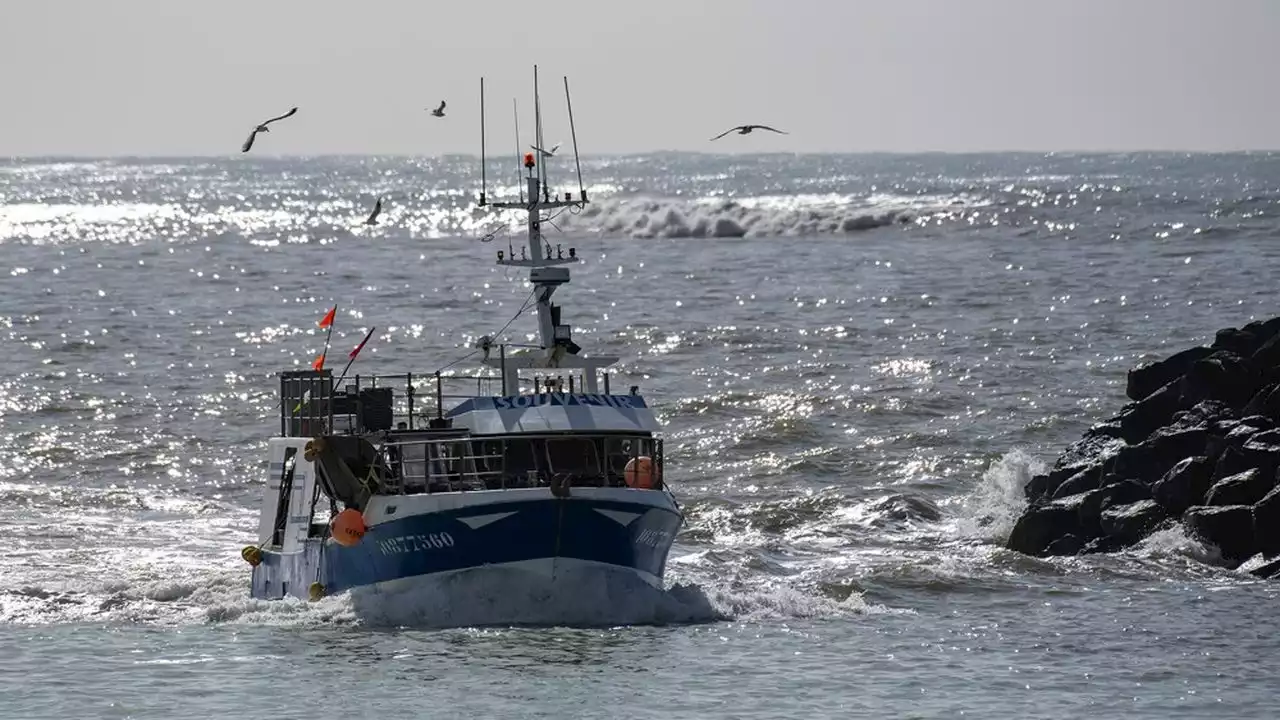 CMA-CGM embarque la BPI dans la décarbonation des bateaux de pêche français