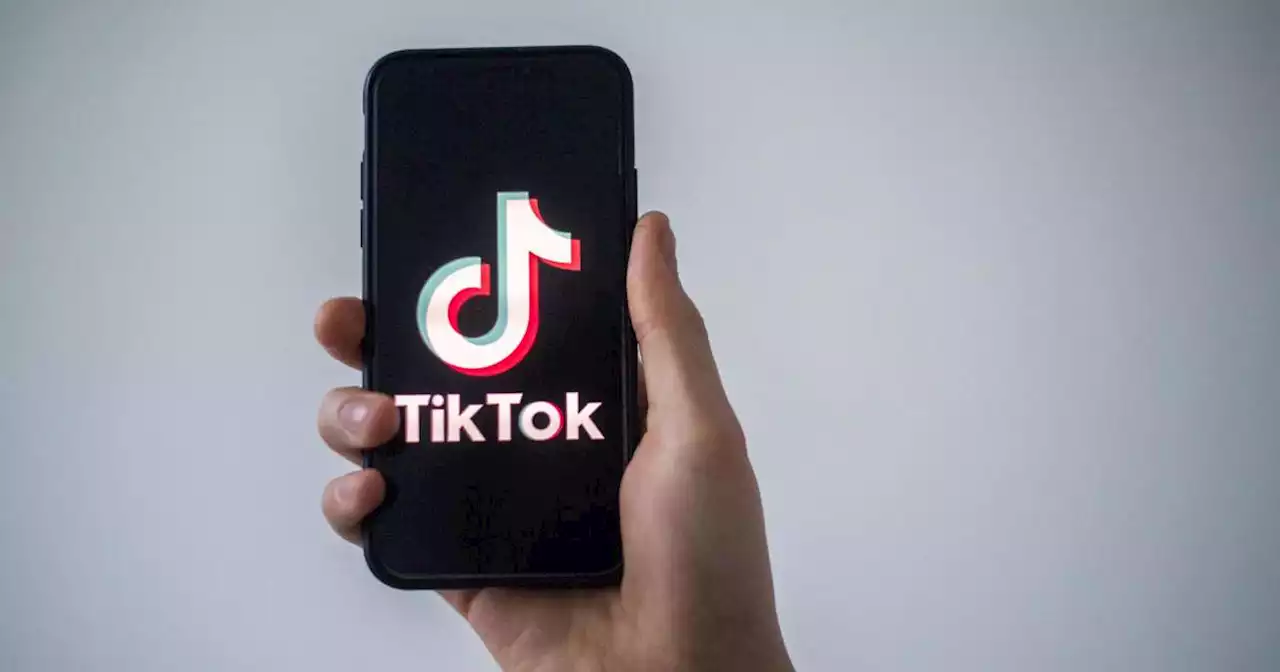 Etats-Unis, Canada, Europe… les interdictions de TikTok se multiplient pour les fonctionnaires occidentaux