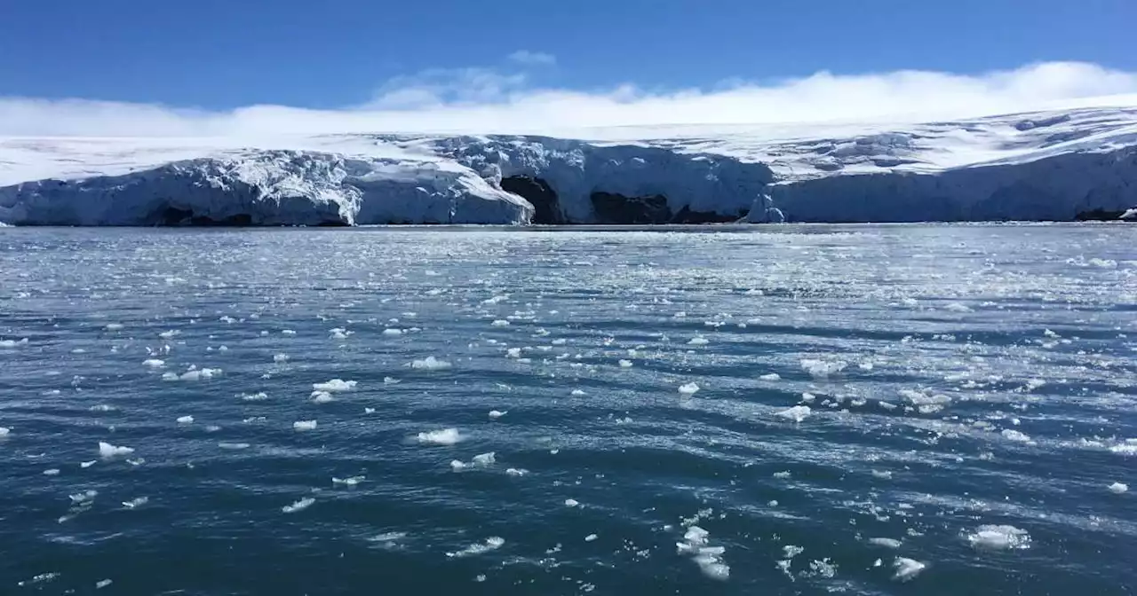 La banquise de l’Antarctique a atteint son niveau le plus bas jamais enregistré