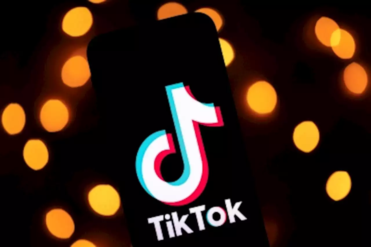 Accused of bias towards Perikatan, TikTok says moderators have no power to influence content