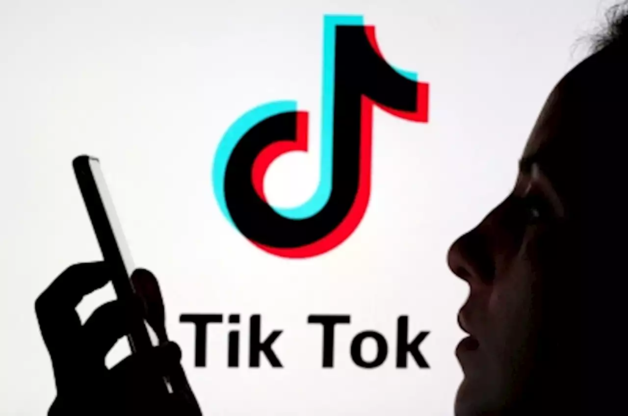 European Parliament to ban TikTok from staff phones, EU official says