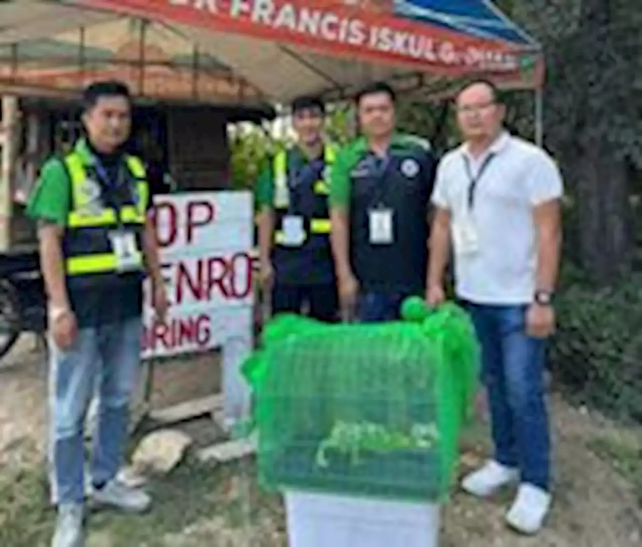 Rare green iguana rescued in Bustos, Bulacan