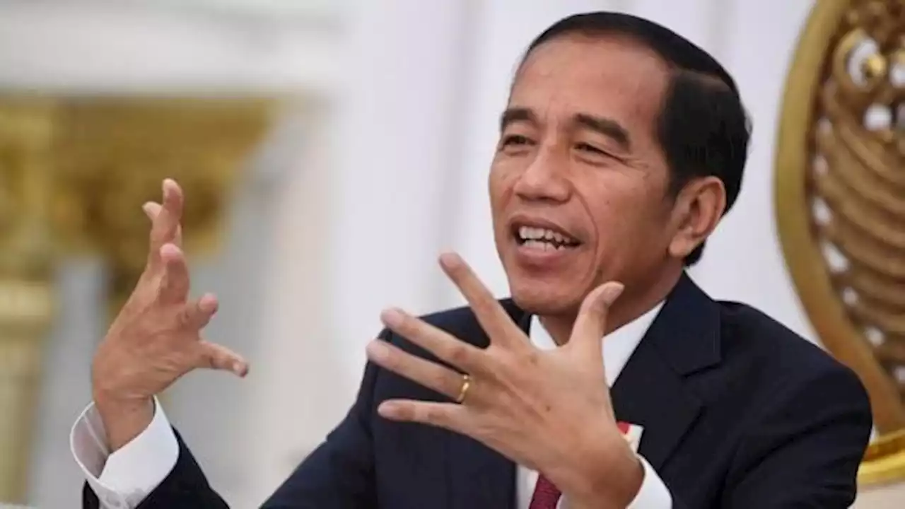 Presiden Optimistis Indonesia Jadi Pusat Industri Hijau