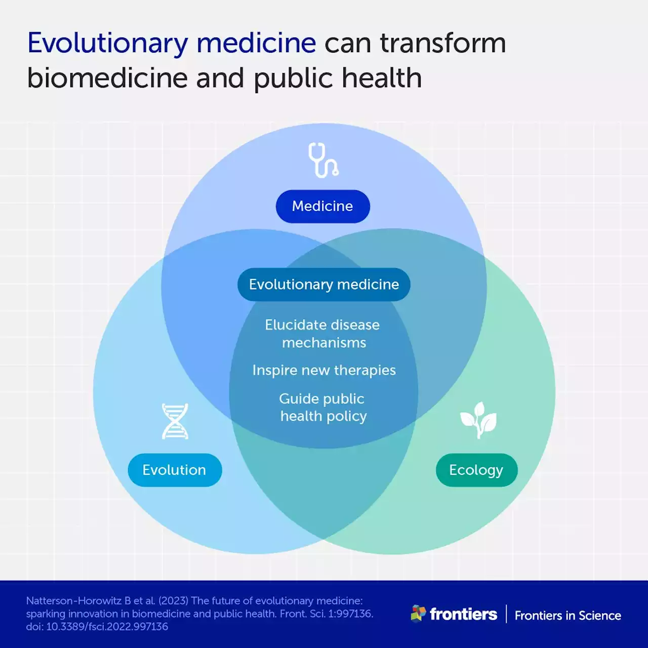 From anti-antibiotics to extinction therapy: How evolutionary thinking can transform medicine