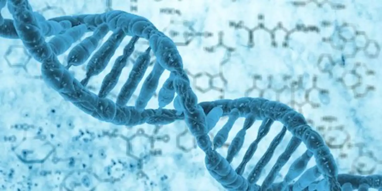 28 Februari 1953: Penemuan DNA Double Helix oleh James Watson dan Francis Crick | merdeka.com