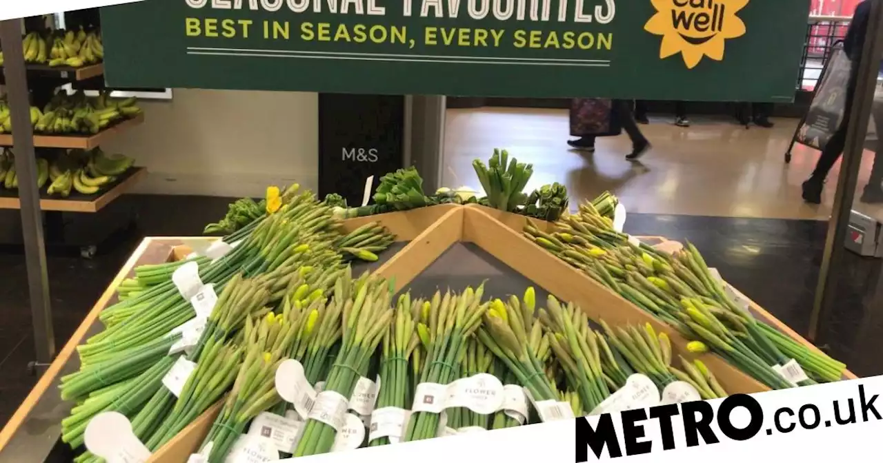 M&S apologises after displaying 'poisonous' daffodils next to spring onions