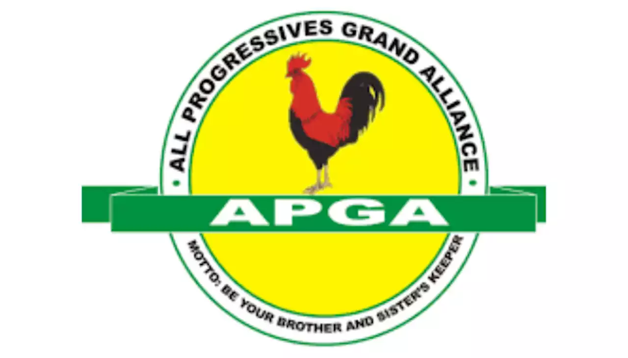 #NigeriaElections2023: APGA candidate wins Anambra Reps seat