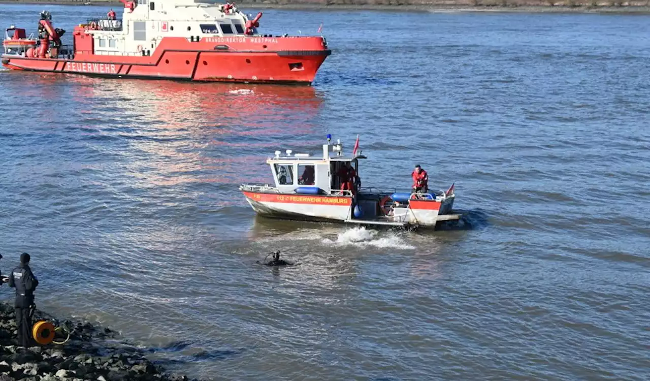 Drama in Hamburg: Junge fällt in Elbe und geht unter