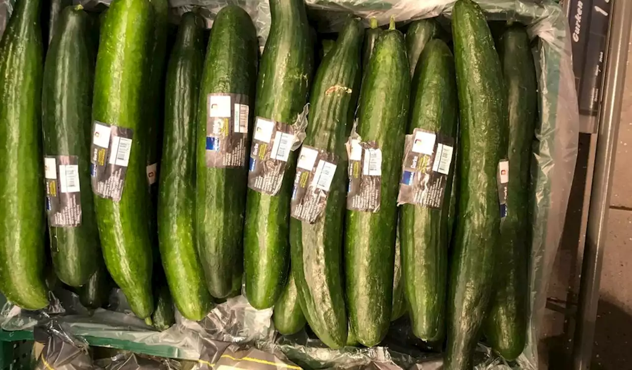 Irrer Preis für eine Gurke: Hamburger Supermarkt treibt es auf die Spitze