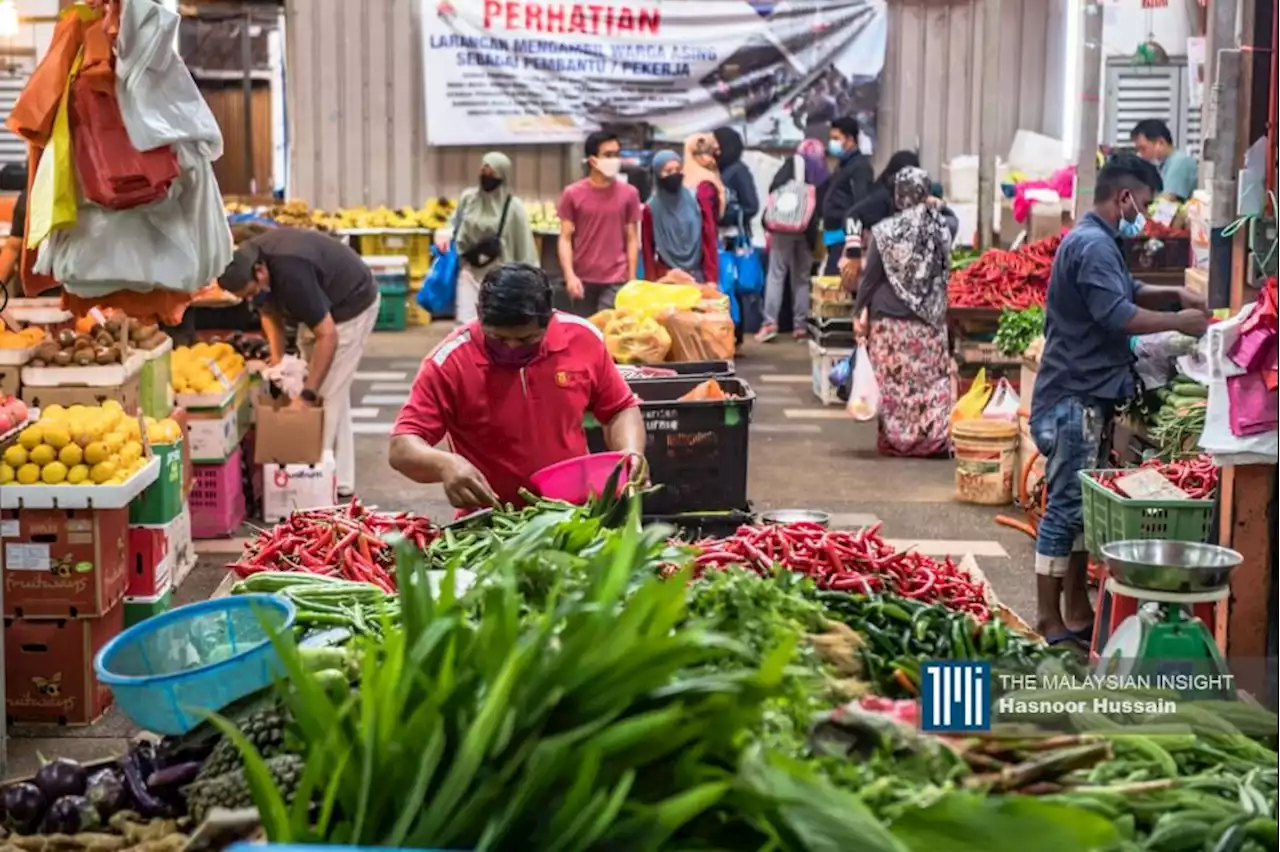 Petani berang larangan trak sayur masuk Cameron Highlands hujung minggu | The Malaysian Insight