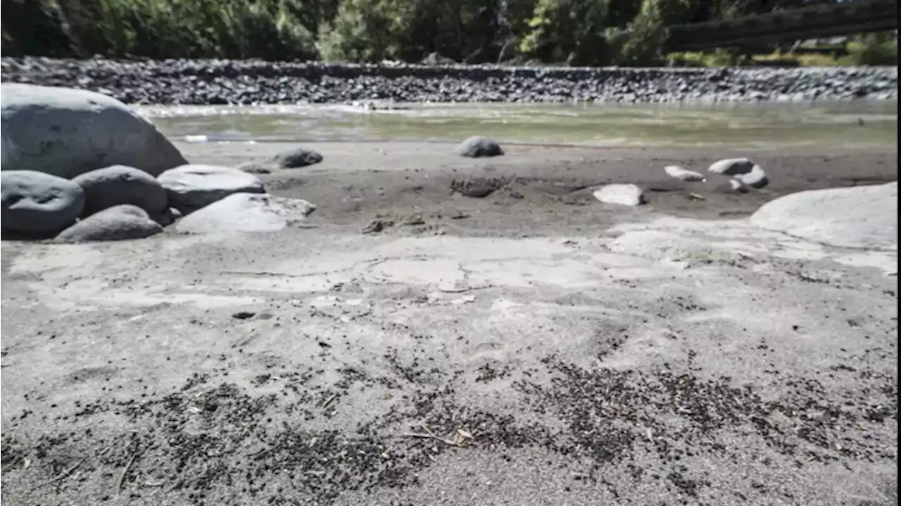 Dam owner guilty in field turf pollution of Washington river