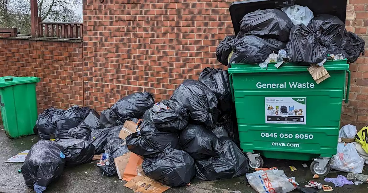 Overflowing bins in city causing mayhem for pub and residents