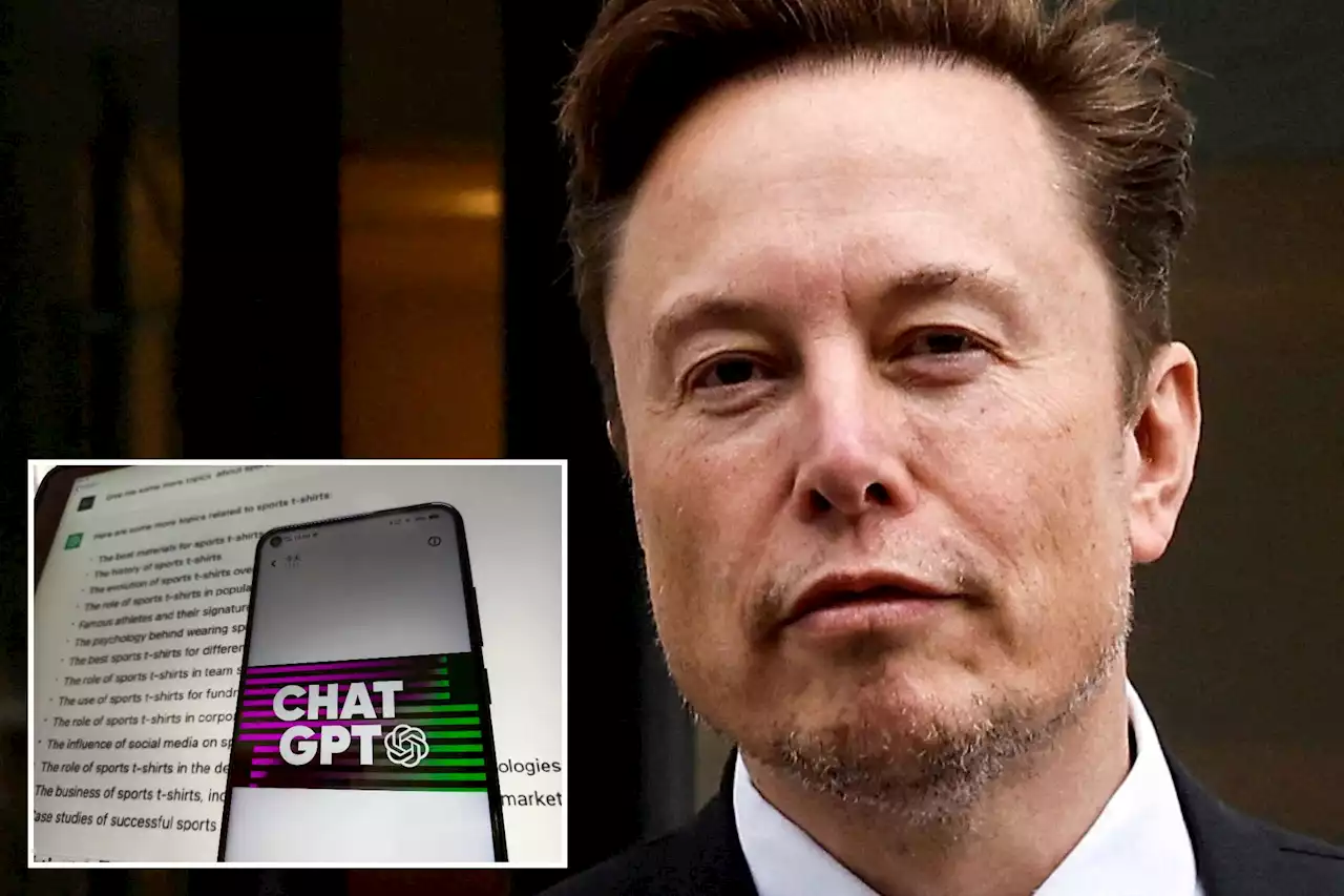 Elon Musk looks to develop AI rival to ‘woke’ ChatGPT: report