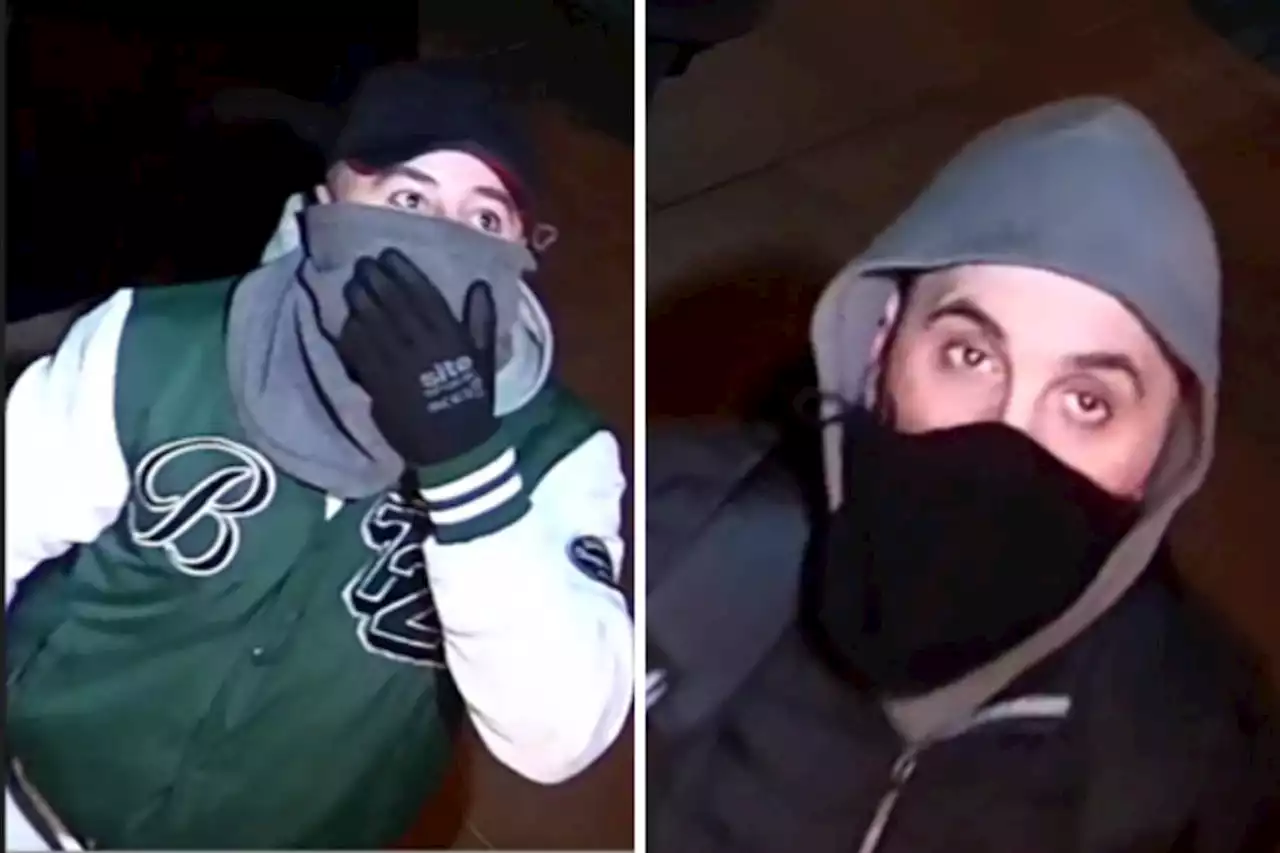 CCTV images released after Cartier watch stolen in burglary