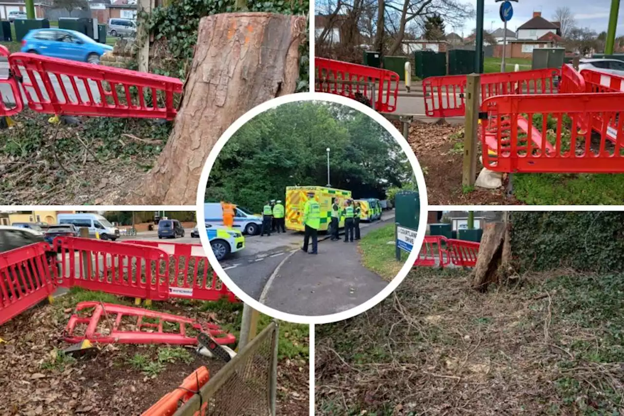 'Disgusting mess' as works to make fatal crash site safe drag on