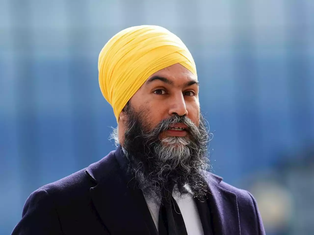 Conservatives to suspend MPs' TikTok accounts, Singh dodges questions on NDP plans