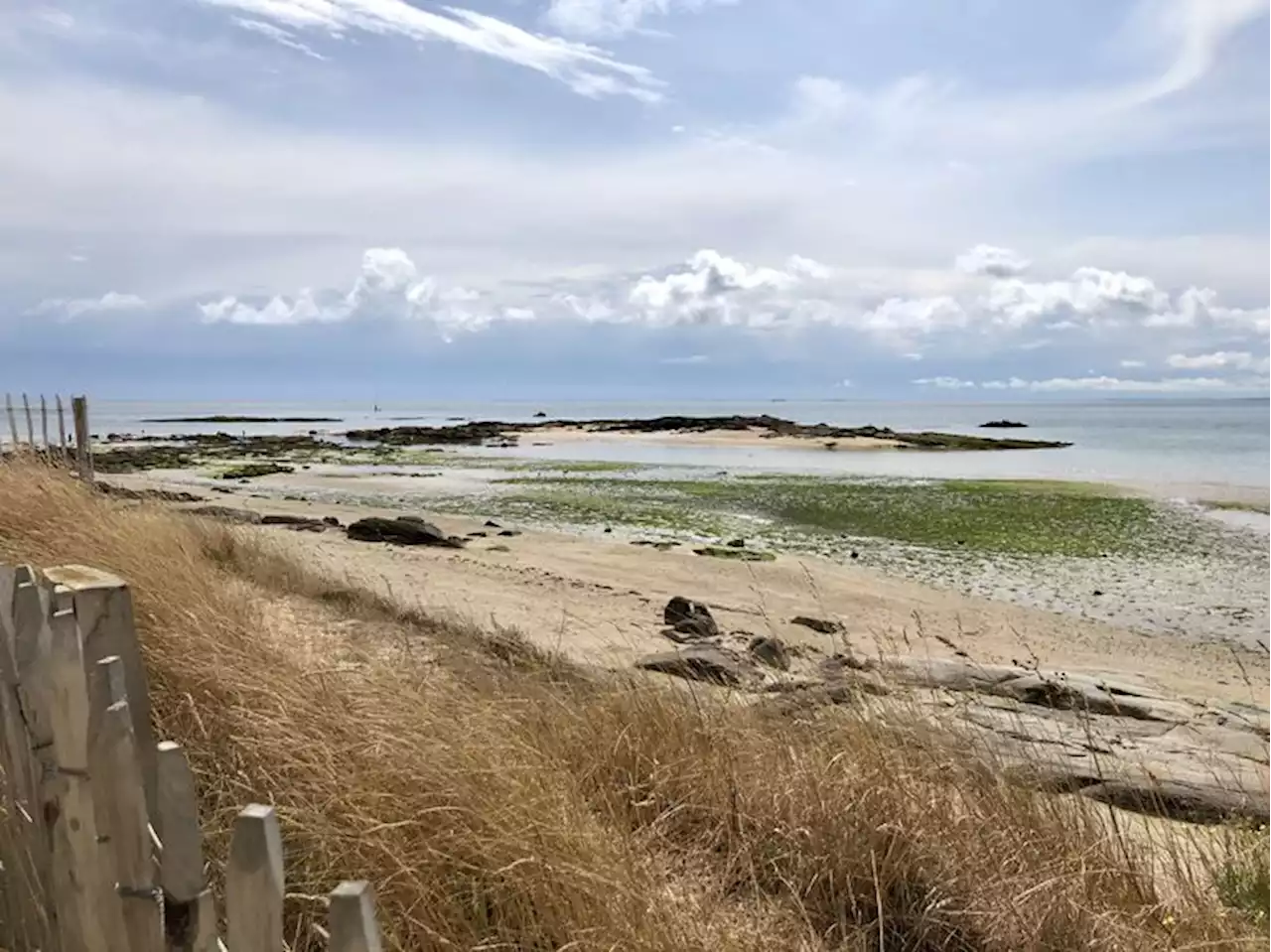 Honderden kilo’s cocaïne aangespoeld op Frans strand