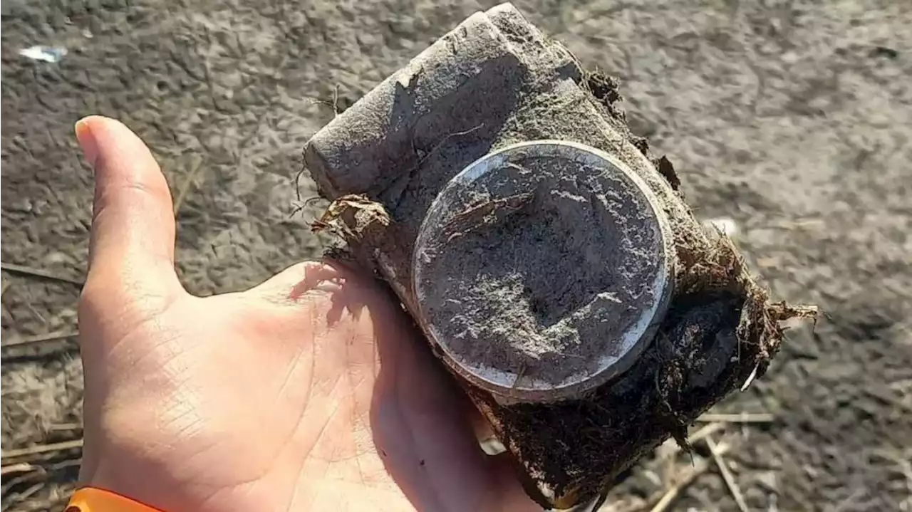 Encontró una cámara que estuvo sumergida en el agua 6 años en los Esteros del Iberá