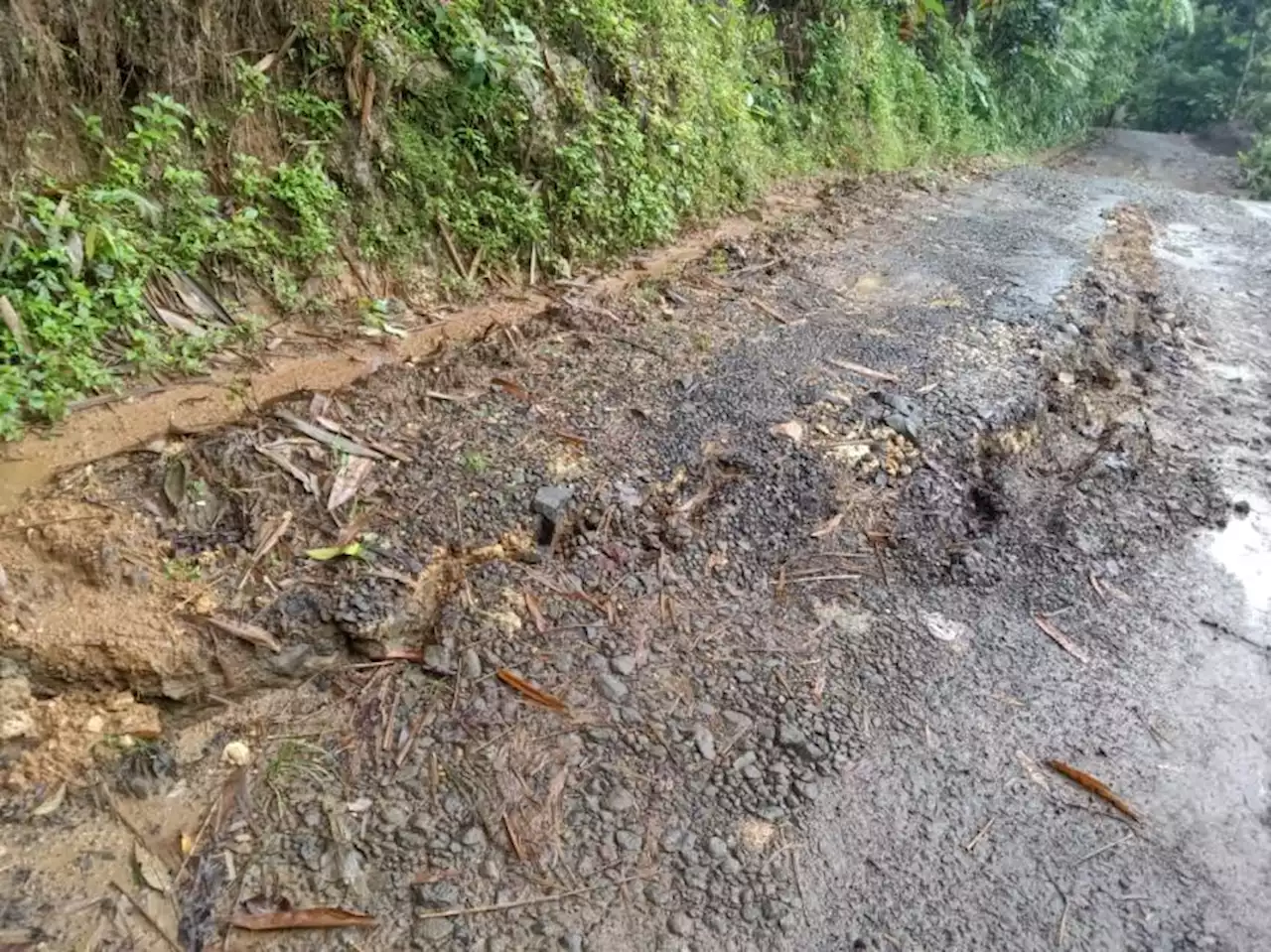 BPBD Lebak Belum Rekomendasikan Relokasi Korban Pergerakan Tanah |Republika Online