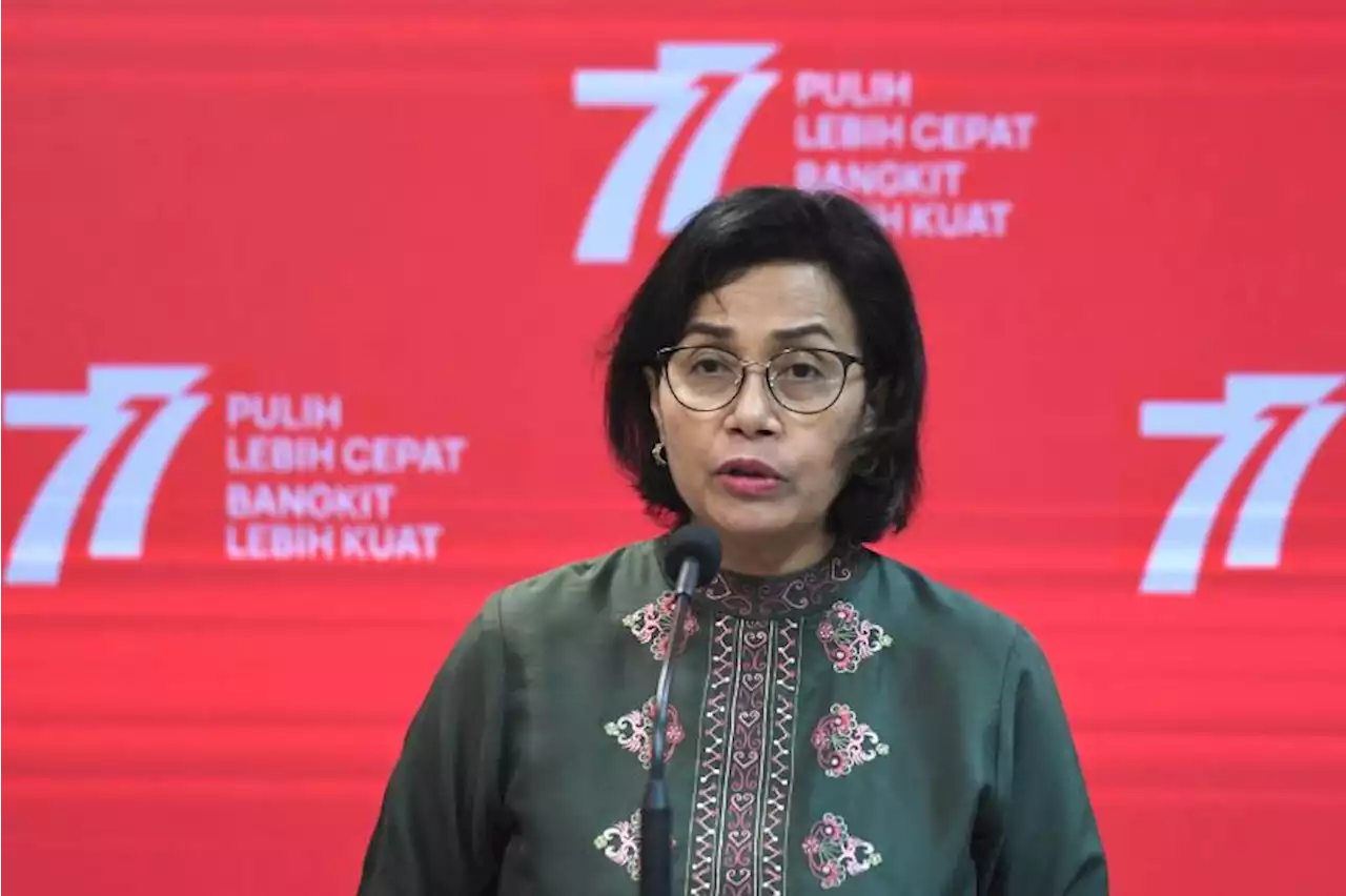 'DJP Lepaskan Saja, Bu Sri, Tandanya Anda Tidak Becus Ngurus Pajak' |Republika Online