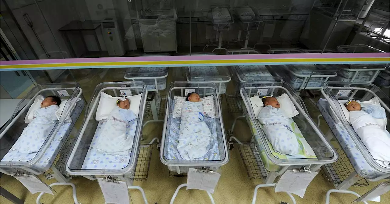 As China's birth rate slumps, political advisor urges egg freezing for single women