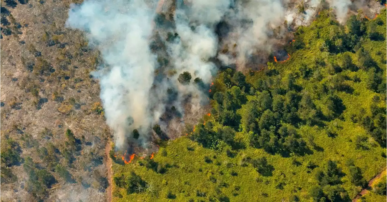 Massive forest fires rage on in eastern Cuba