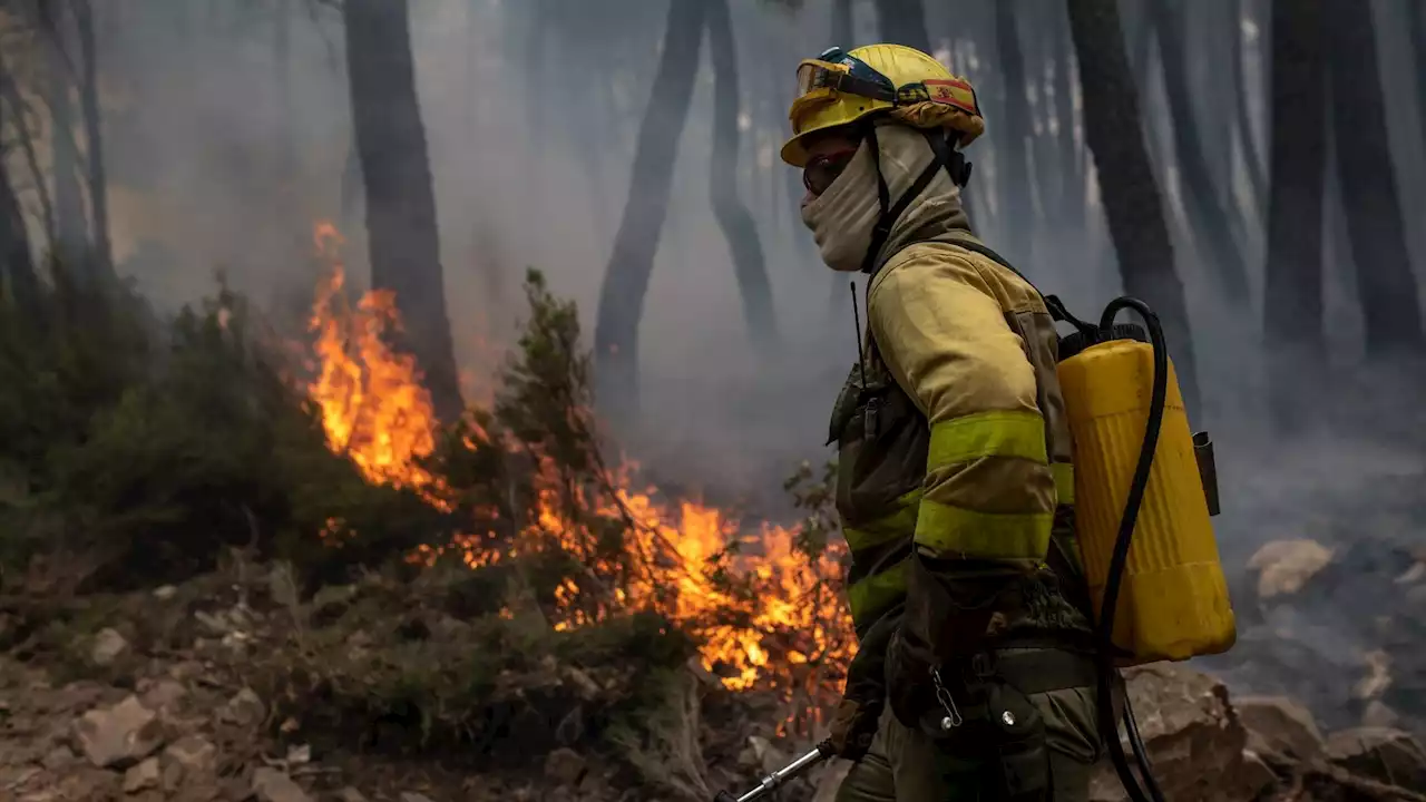 El Gobierno aprueba el nuevo estatuto para bomberos forestales