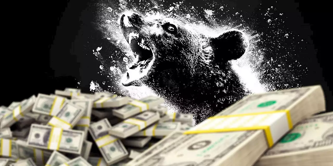 Cocaine Bear Was This Weekend's Real Box Office Winner (Despite Being #2)