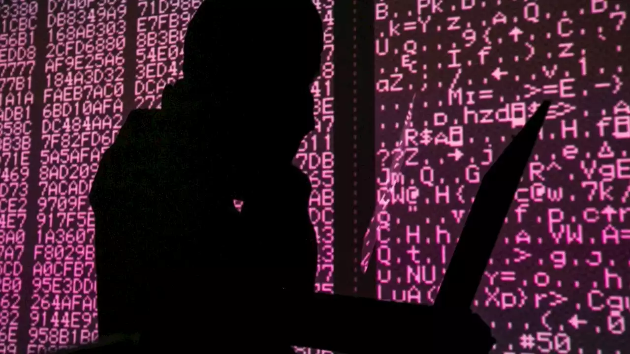 Experts sceptical of government&#8217;s cyberattack plan