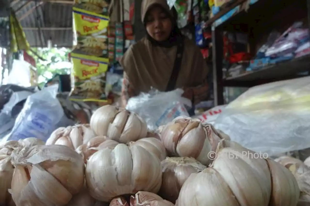 Harga Pangan Jateng Hari Ini: Bawang Putih dan Migor Naik, Lainnya Turun