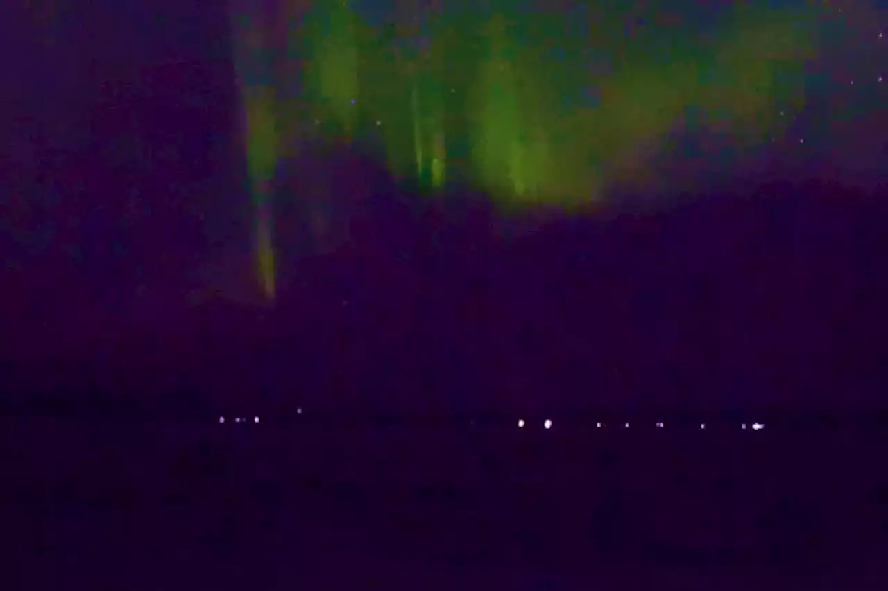 VIDEO: Trail cam captures Aurora