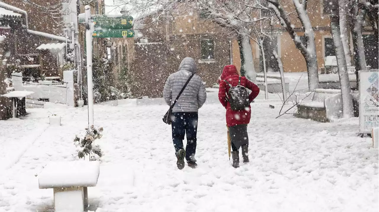 Eisige Temperaturen in Spanien: Schneedecke auf Ferieninsel Mallorca teils ein Meter dick