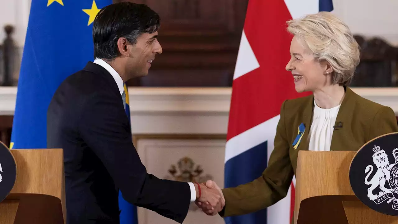 How Rishi Sunak's Brexit deal works - and what a 'veto' over EU law will mean