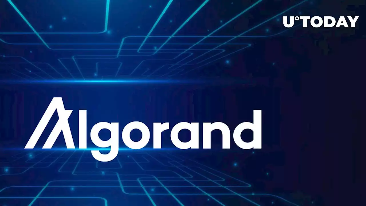 Algorand (ALGO) CTO Gives Update on Recent Exploit Impacting Multiple Accounts