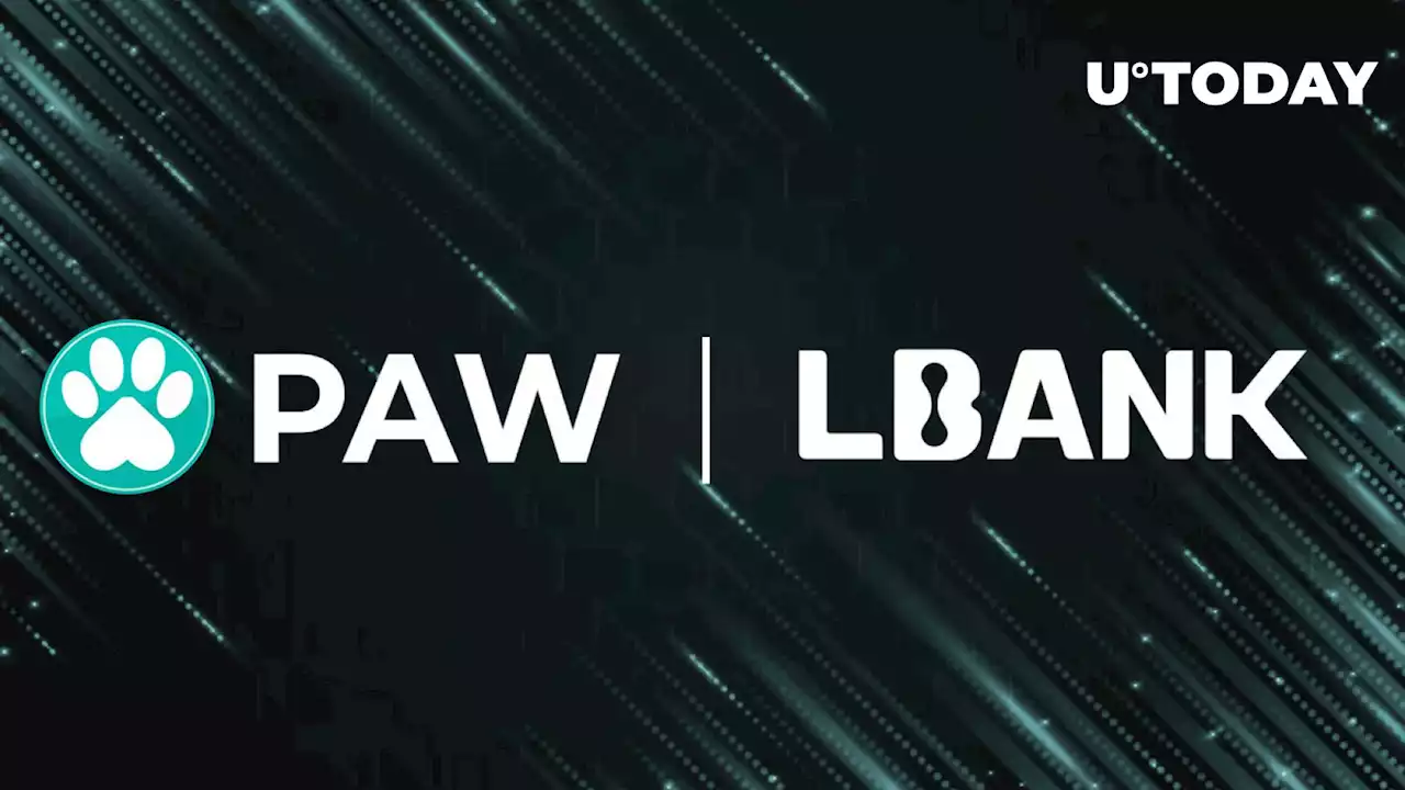 Shiba Inu's PAW Token Listed by Major LBank Exchange Ahead of Shibarium Launch