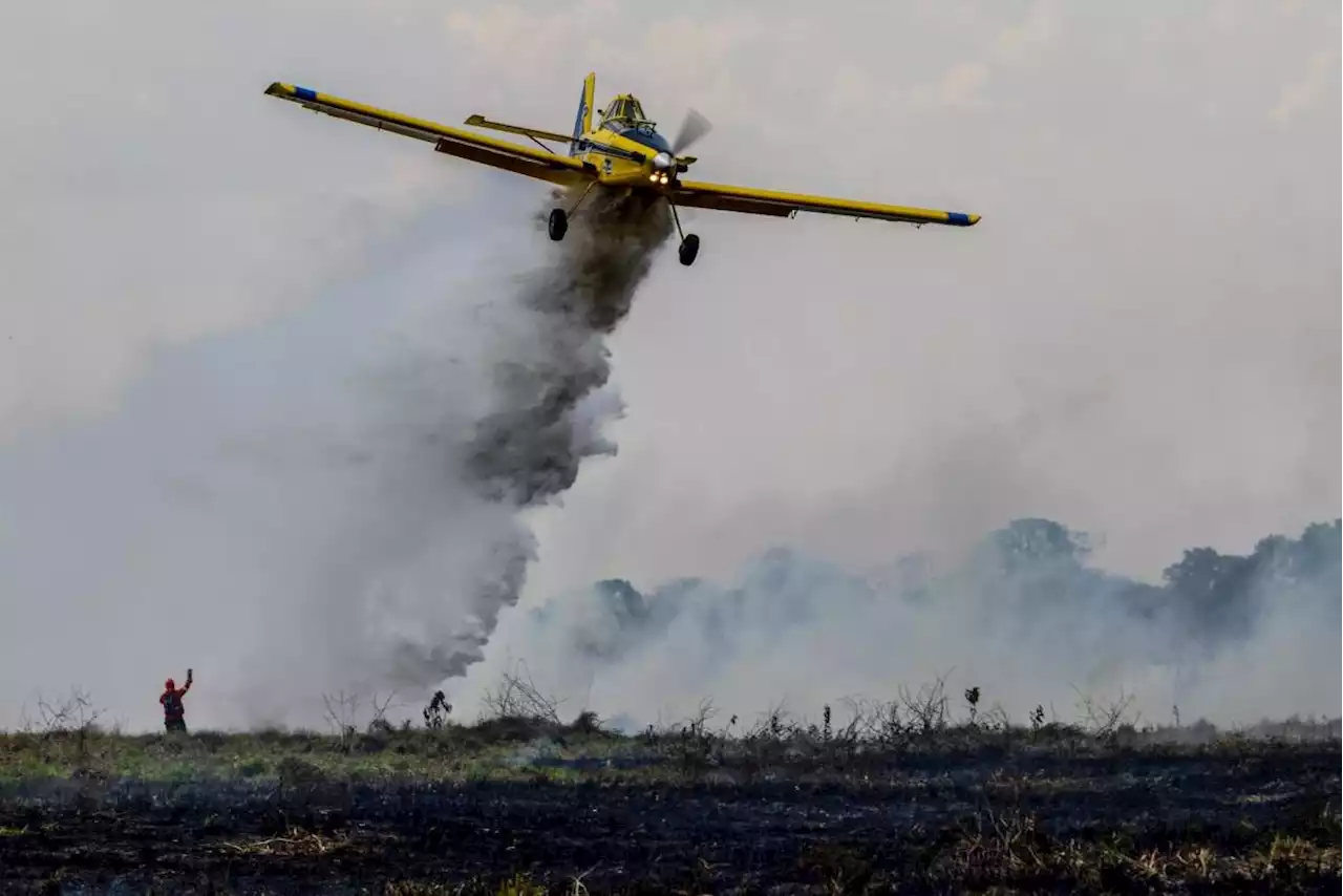 Clima ‘ideal’ en Coahuila para incendios forestales; hace mucho calor y poca humedad