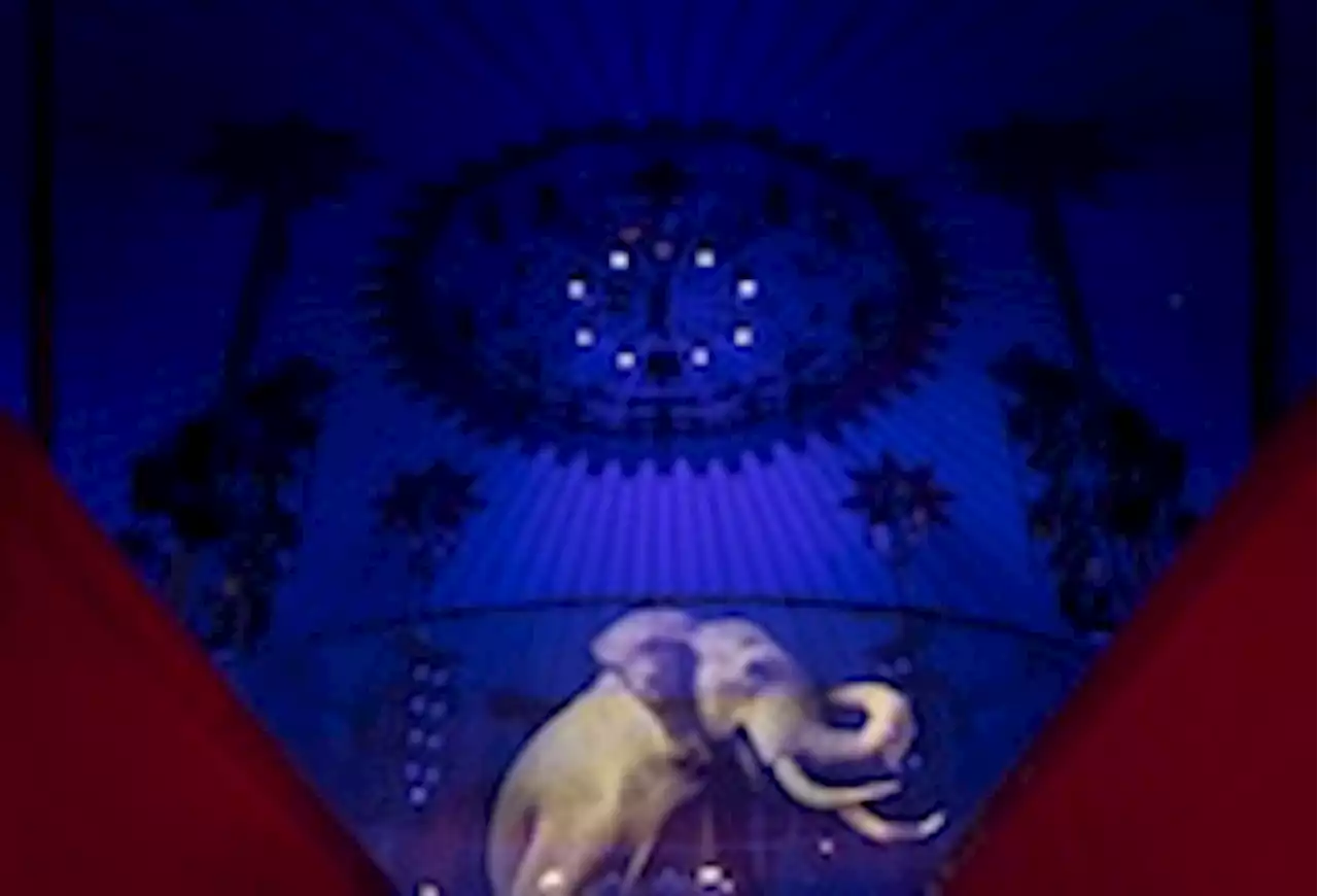 Perspective | See how this ‘cruelty-free’ circus replaced animals with holograms