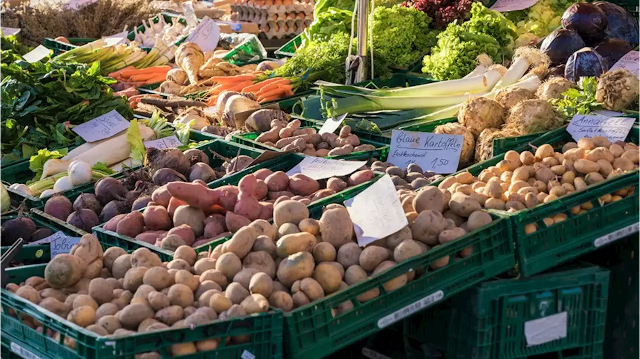 Saisonkalender im März: Dieses Obst und Gemüse findest du aktuell auf dem Markt