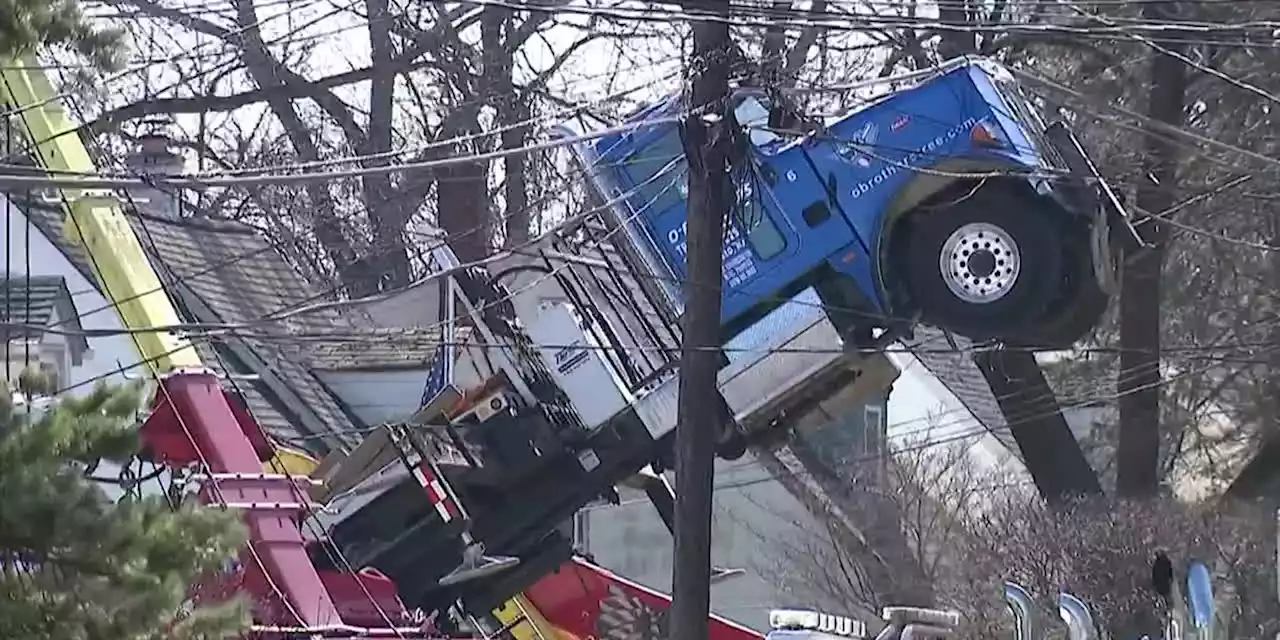 Crane gets tangled in power lines while removing tree