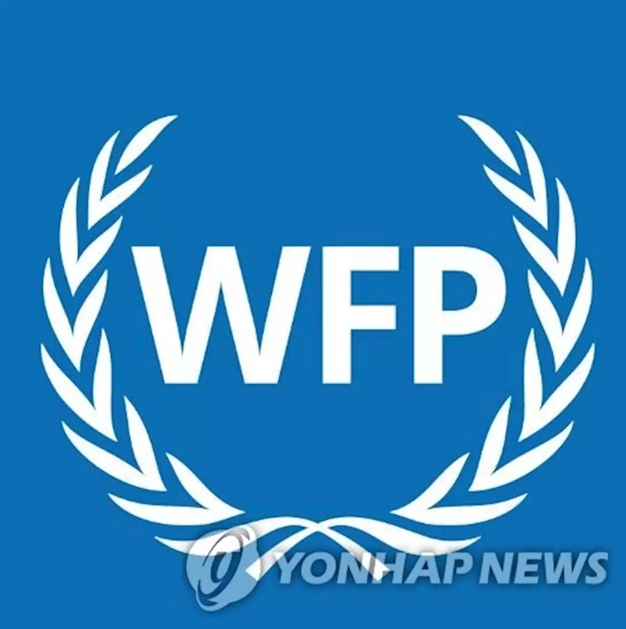 WFP '올해 7월까지 北 식량 지원에 1천300만달러 더 필요' | 연합뉴스