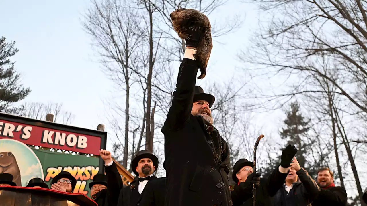 Groundhog Day 2023: Punxsutawney Phil the groundhog sees his shadow